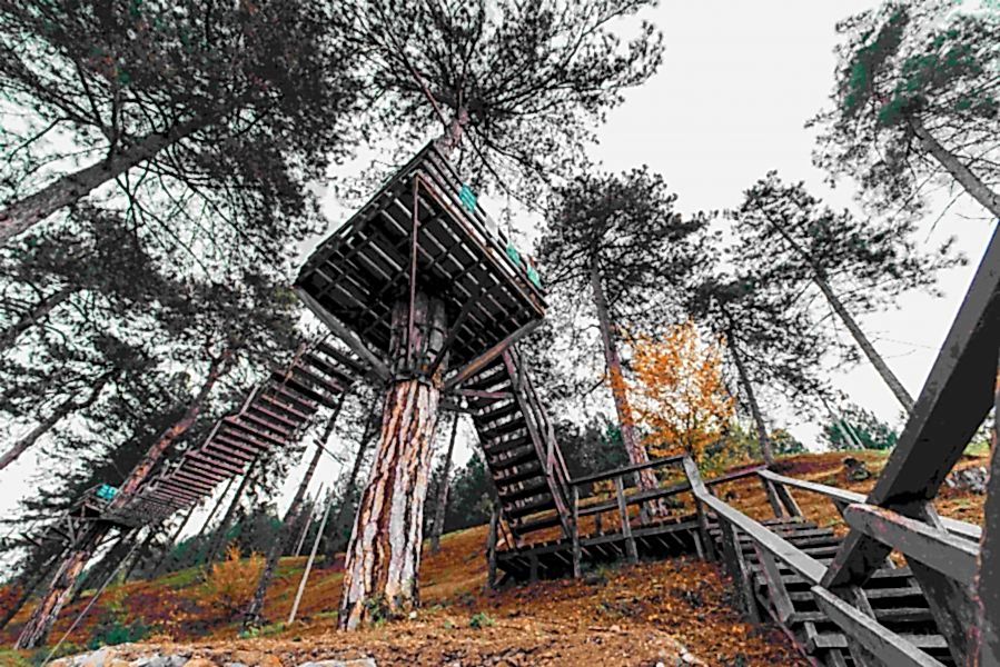 Turistik Karaelmas Treni İle Yenice Ormanları Zonguldak Safranbolu Turu