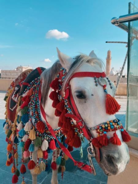 Butik Mardin Turu (Uçaklı)