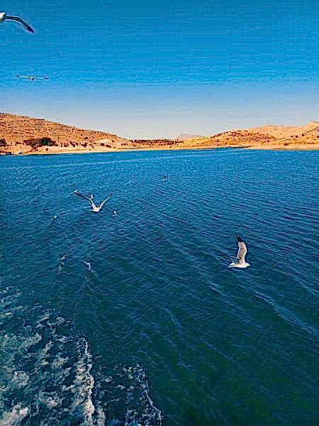 Sivas Kemaliye Tunceli Elazığ Turu (Hızlı Trenle)